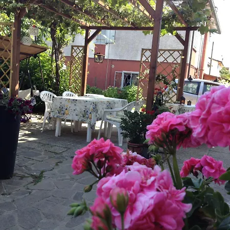 Vali Chalet Bed & Breakfast *